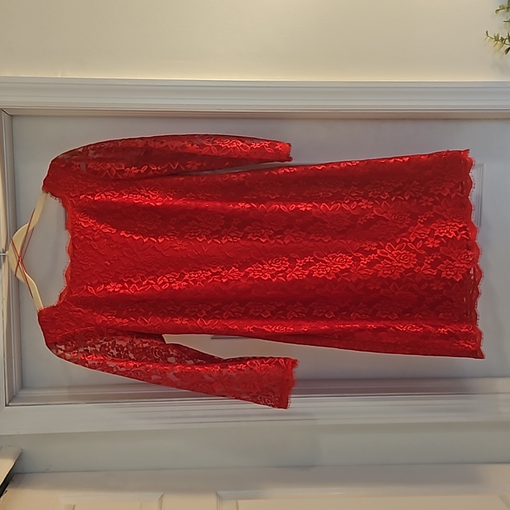 Beautiful red lace holiday/cocktail dress